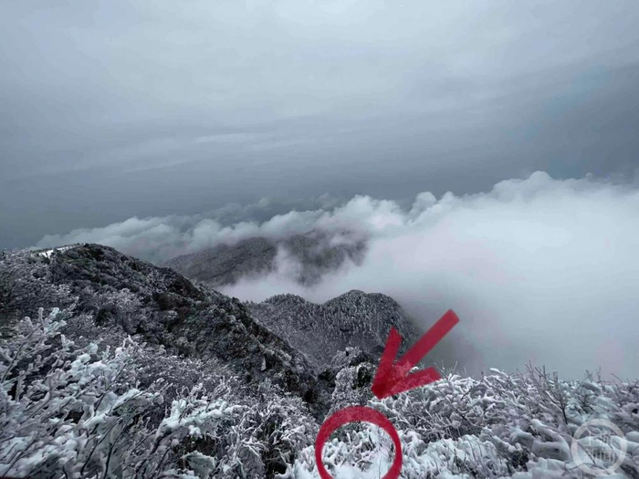 ▲手机掉落位置。