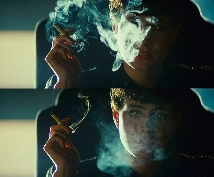 沦陷在复制人的瞳孔里。/《银翼杀手》