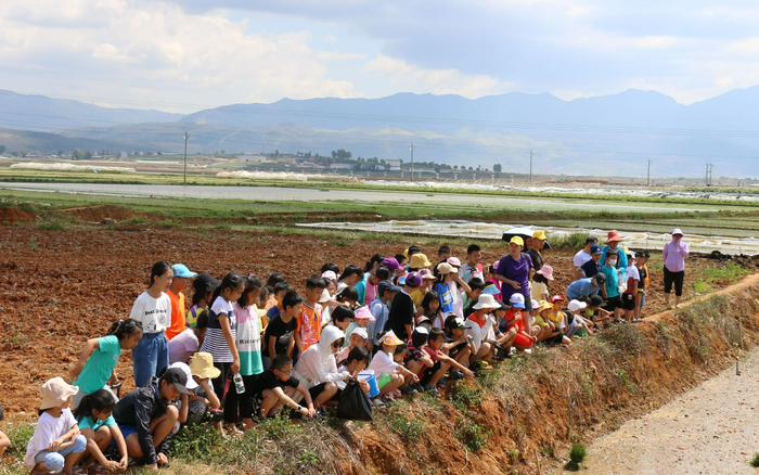 李婷婷带着学生做观光体验。受访者供图