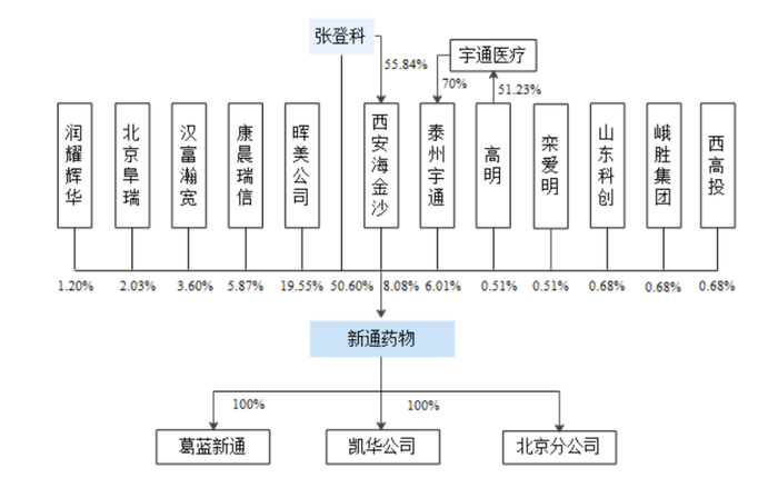 股权结构图 图/招股书