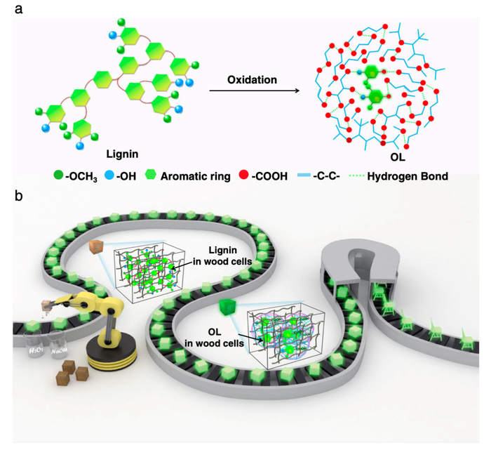 图丨RTP木质素氧化原理图（来源：Nature Communications）
