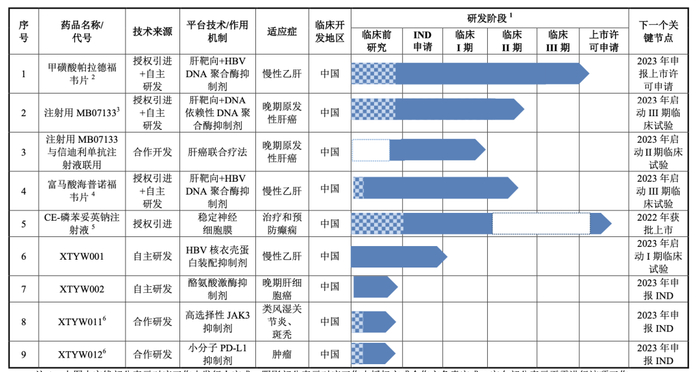 主要在研药品和在研项目情况 图/招股书