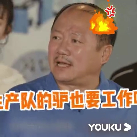 《乡村爱情15》表情包