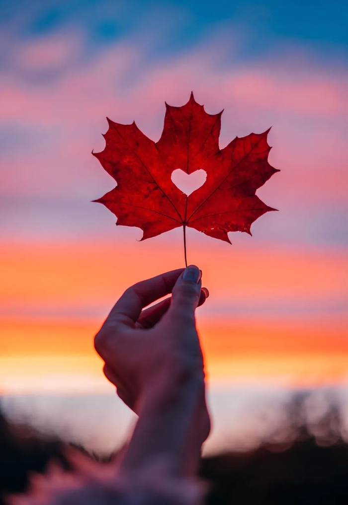 文/央视新闻《夜读》整编