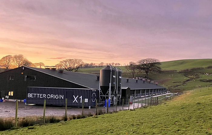 Better Origin 昆虫农场，图片来源：designweek.co.uk