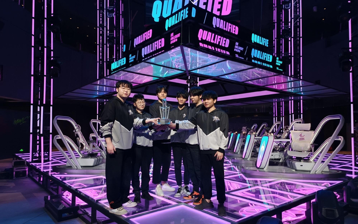 夺冠的TE战队获得了英雄联盟手游职业联赛席位。  图/TE英雄联盟手游分部