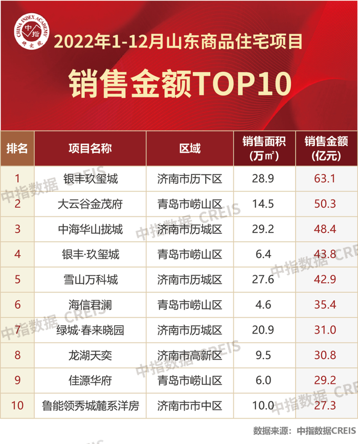 △2022山东销售金额TOP10