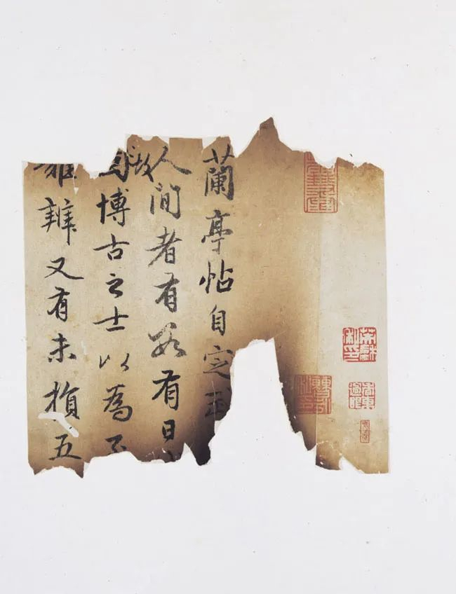 赵孟頫 《兰亭十三跋 》局部 东京国立博物馆藏 展期：2023年3月12日起展出