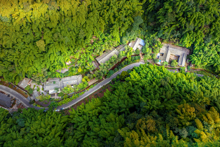 平乐古镇芦沟竹海景区民宿守拙