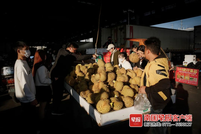 ▲市民在一摊点前挑选榴莲。