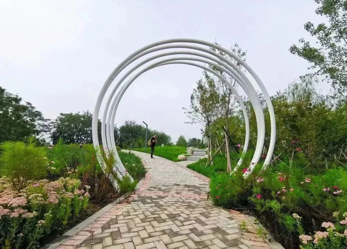 ▲衙门口城市森林公园