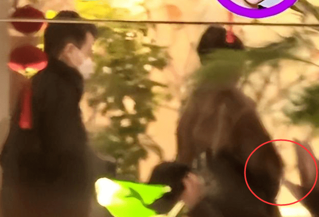 刘恺威女友又传怀孕！聚餐女方紧搂肚子，走路缓慢似孕妇-刘恺威女朋友是谁图片