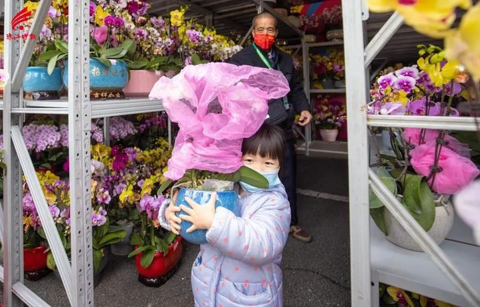 小朋友抱着刚选购的蝴蝶兰。