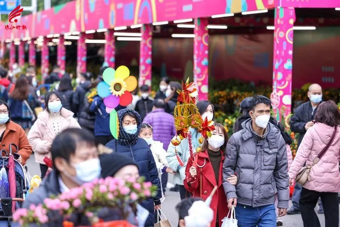 1月15日，南海迎春花市启市，吸引了众多市民行花街。