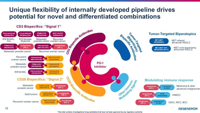 ▲再生元双特异性抗体潜在组合疗法（图片来源：再生元官网）