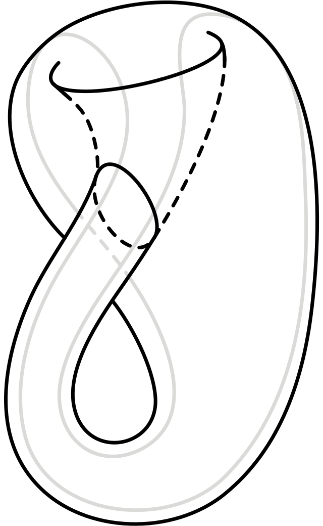 图 ：克莱因瓶（Klein bottle）