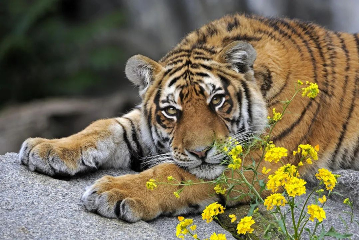 题图 | 视觉中国