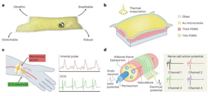（来源：Nature Electronics）