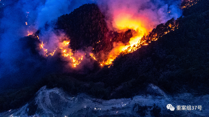 8月25日晚，重庆市北碚区缙云山山火，火线逼近隔离带。新京报记者 郑新洽 摄