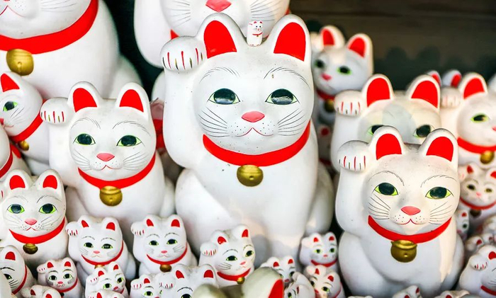 “猫洗面过耳则客至”。图片来自网络