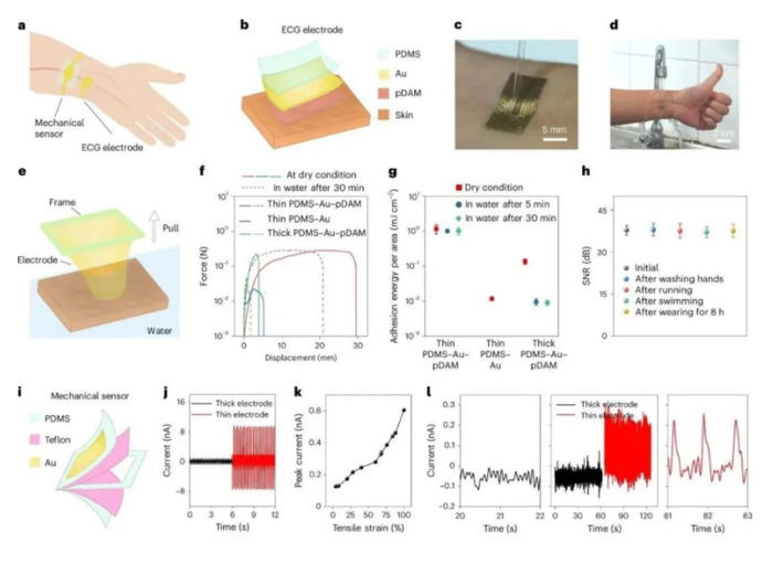 （来源：Nature Electronics）
