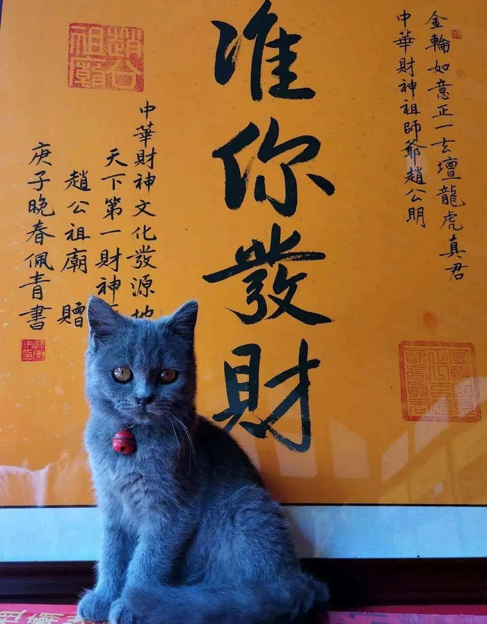 “准你发财”。图片来自网络