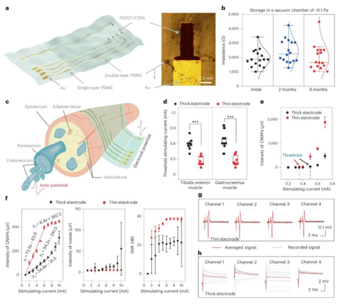 （来源：Nature Electronics）