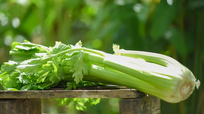 图库版权图片，不授权转载