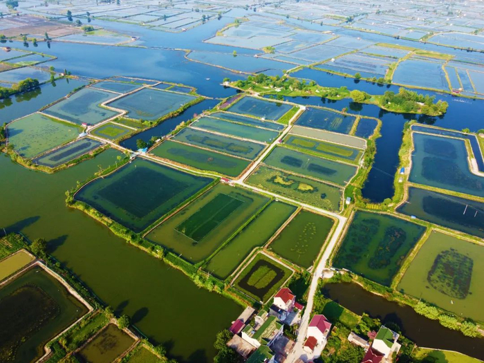 当涂县塘南镇曹坝村，夕阳西下江南水乡风景美如画（图片来源 ：视觉中国）