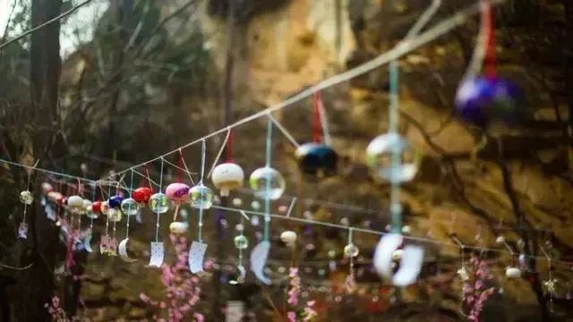 图片来源：北京日报