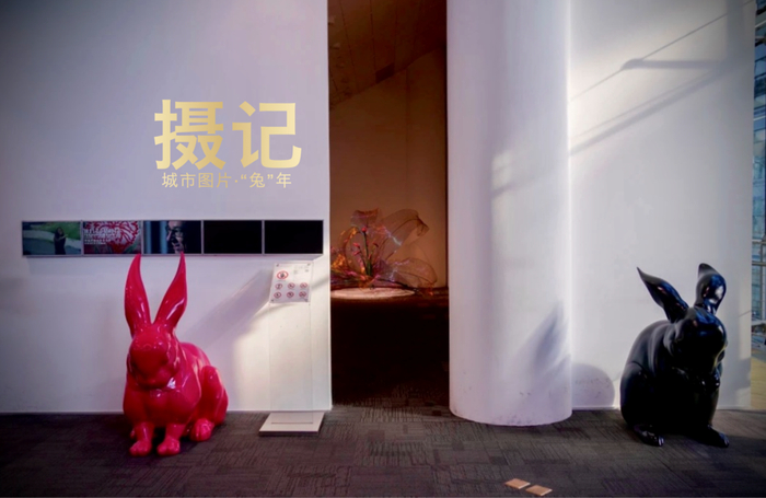 张旭鸿/摄