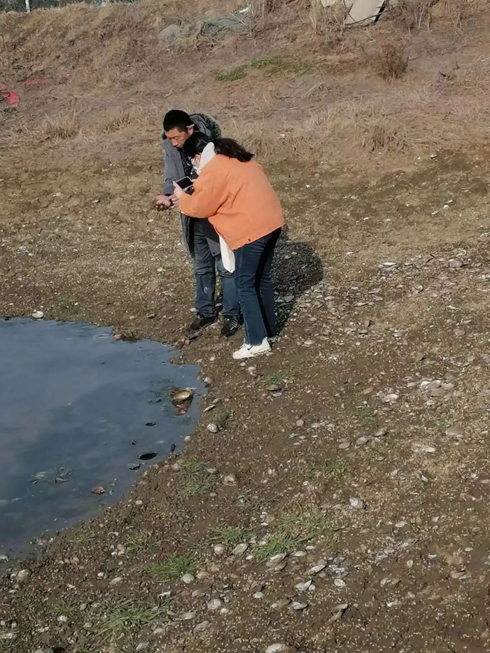 技术人员向记者介绍水草生长情况。严石 摄