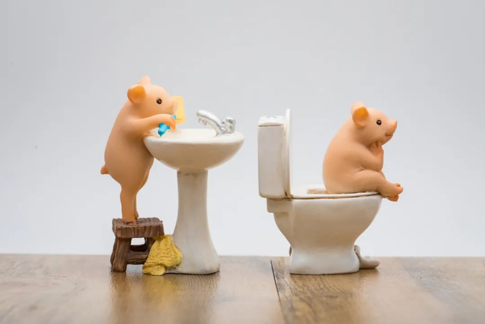 图库版权图片，不授权转载