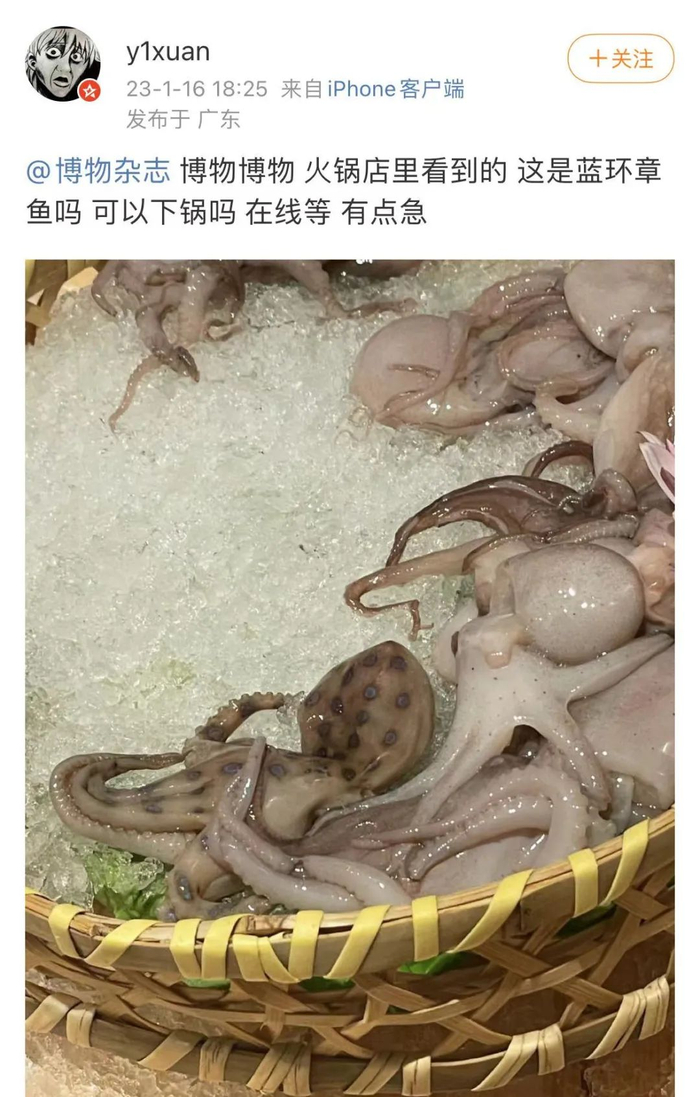图片截取自微博