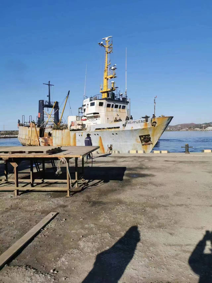 戴坤在俄罗斯扎鲁比诺港拍摄的照片。 受访者供图