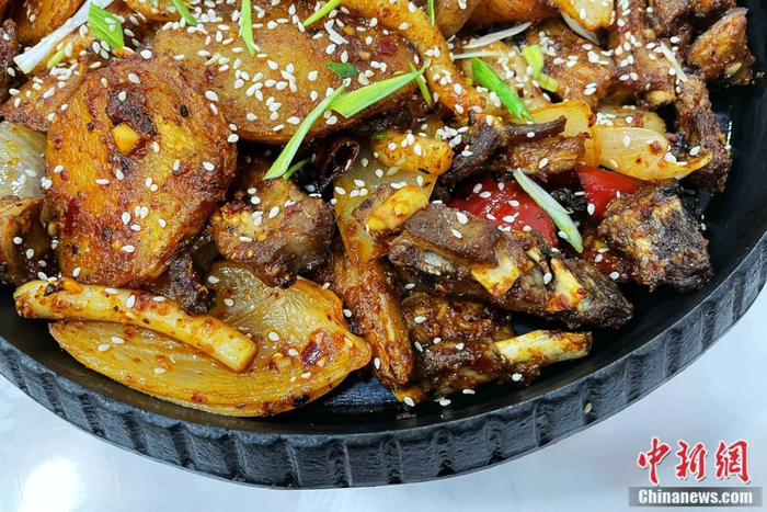 鸢尾 摄