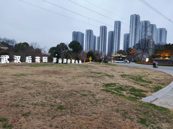 位于汉川市的“天屿湖国际休闲社区”  胡华雄/摄