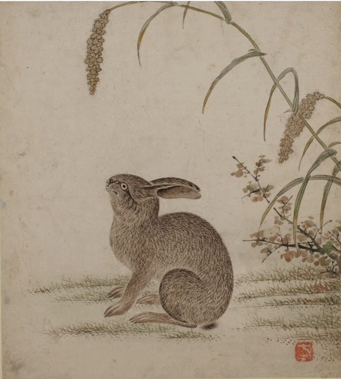  崔北，《兔》，朝鲜王朝，18世纪，首尔湖林博物馆
