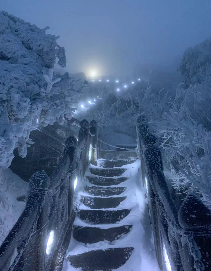 除夕夜的登金顶之路