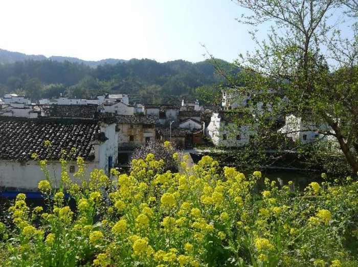 江西婺源长径村