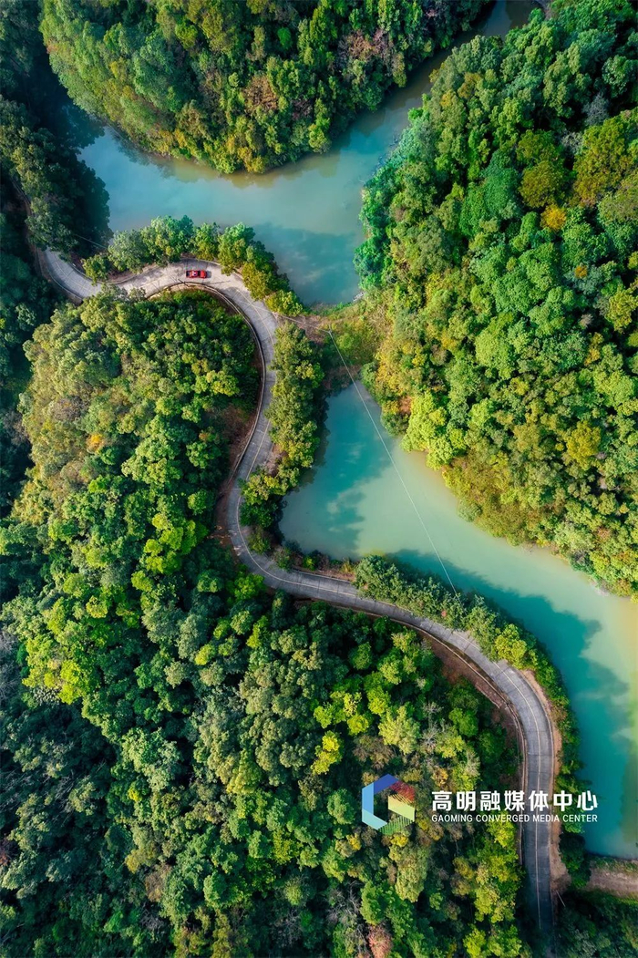 云勇森林公园。叶丽梅摄