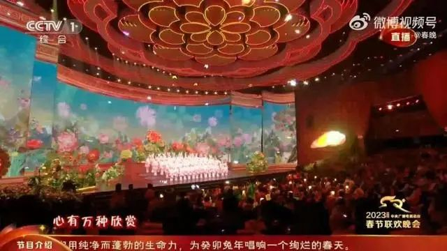 @春晚 官博视频截图