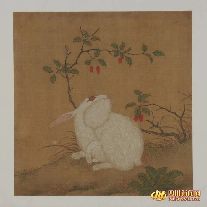 △《白兔画册》