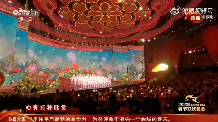 @春晚&nbsp;官博视频截图