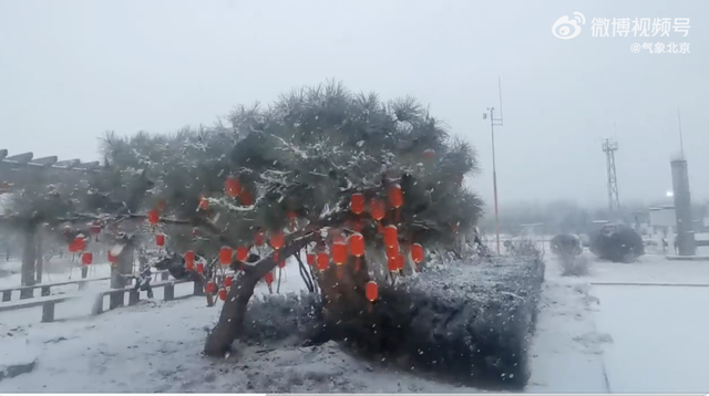 平谷降雪 吕丽摄