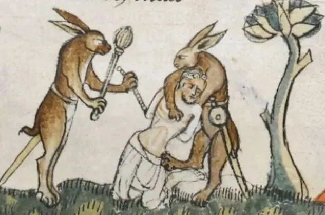 ▲中世纪手抄本中的兔子常常表现得很暴躁，大概是还未脱去神性的缘故。