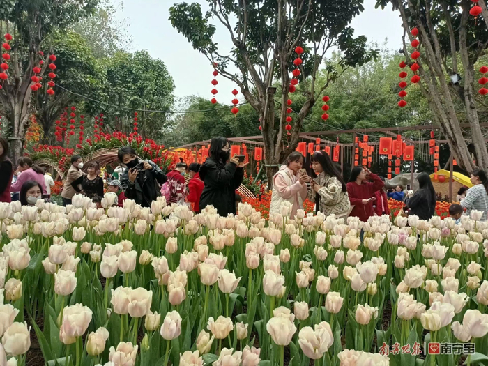 市民在花丛中拍照。图源：南宁晚报