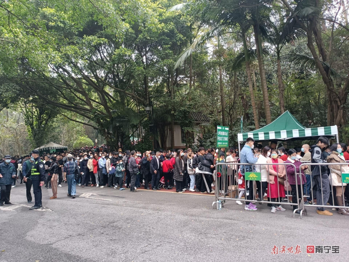 市民在青秀山风景区排队坐观光车。图源：南宁晚报