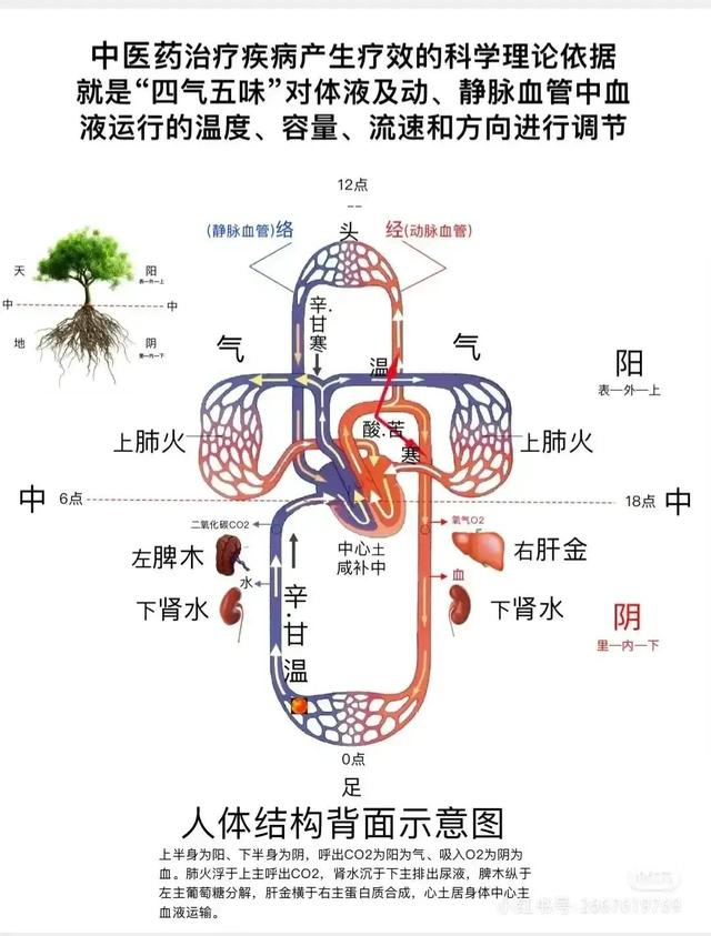 综合了解中医里的“气”|经络|血管|先行|气滞|关系_新浪新闻