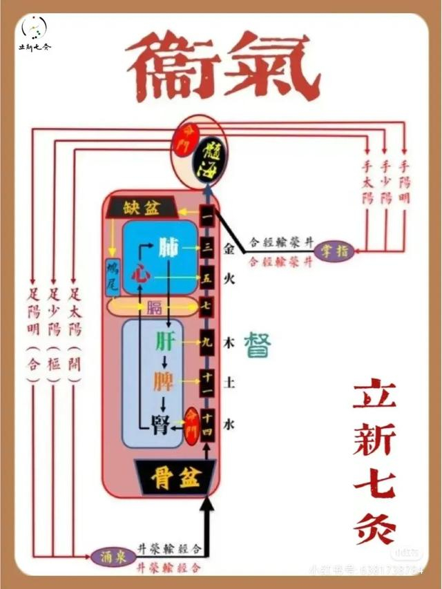 综合了解中医里的“气”|经络|血管|先行|气滞|关系_新浪新闻